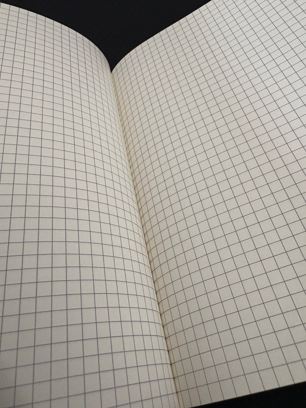 Field Notebook