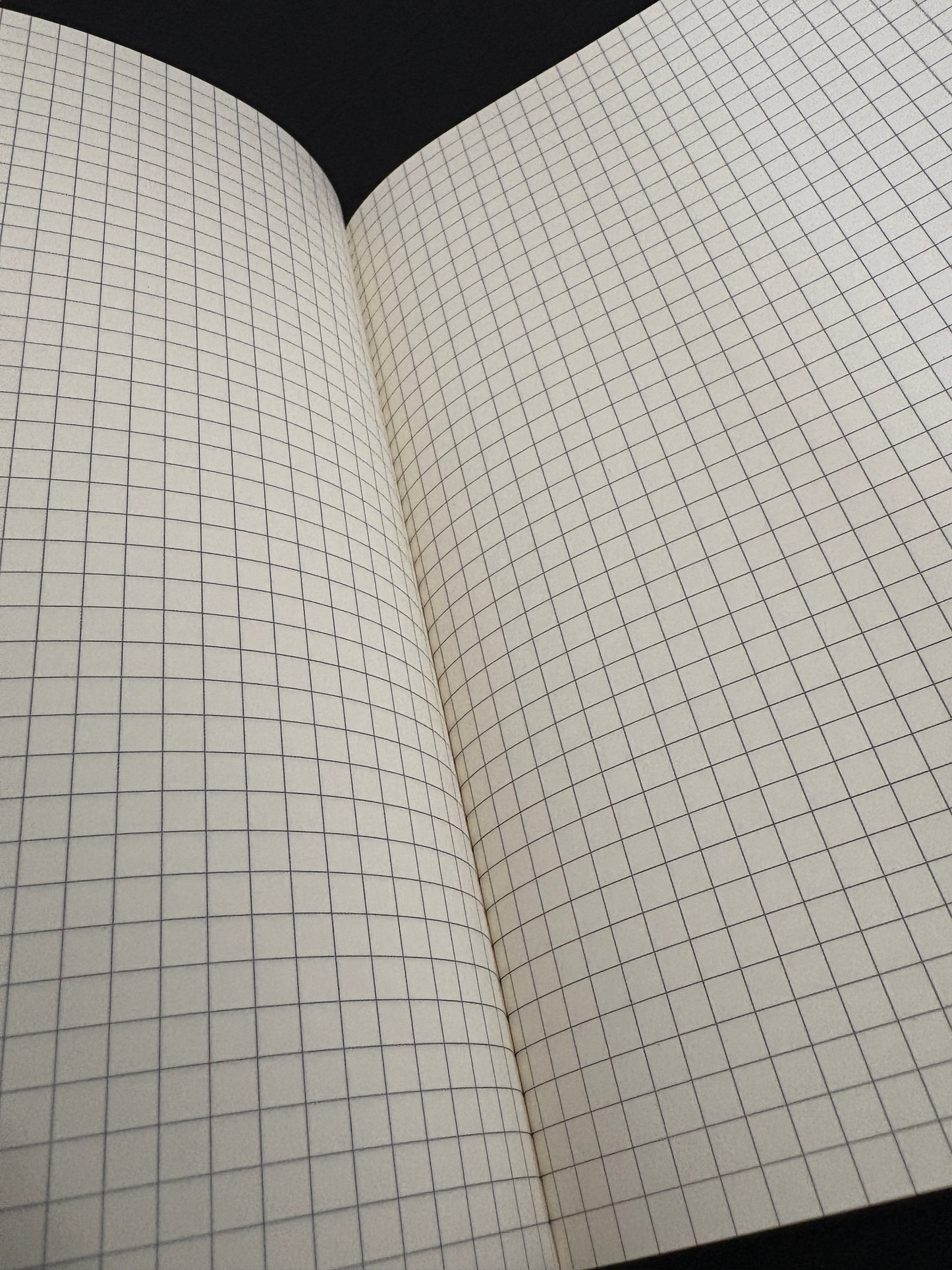 Field Notebook