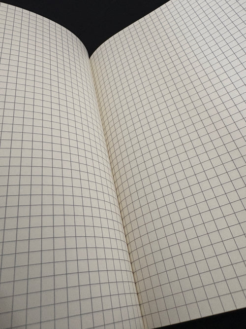 Field Notebook
